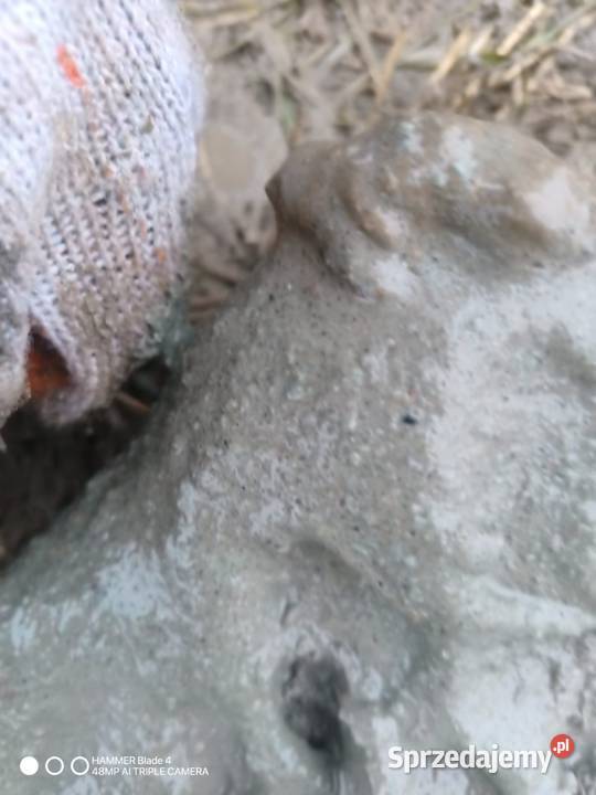 Wiercenie Studni Studnie Głębinowe Toruń