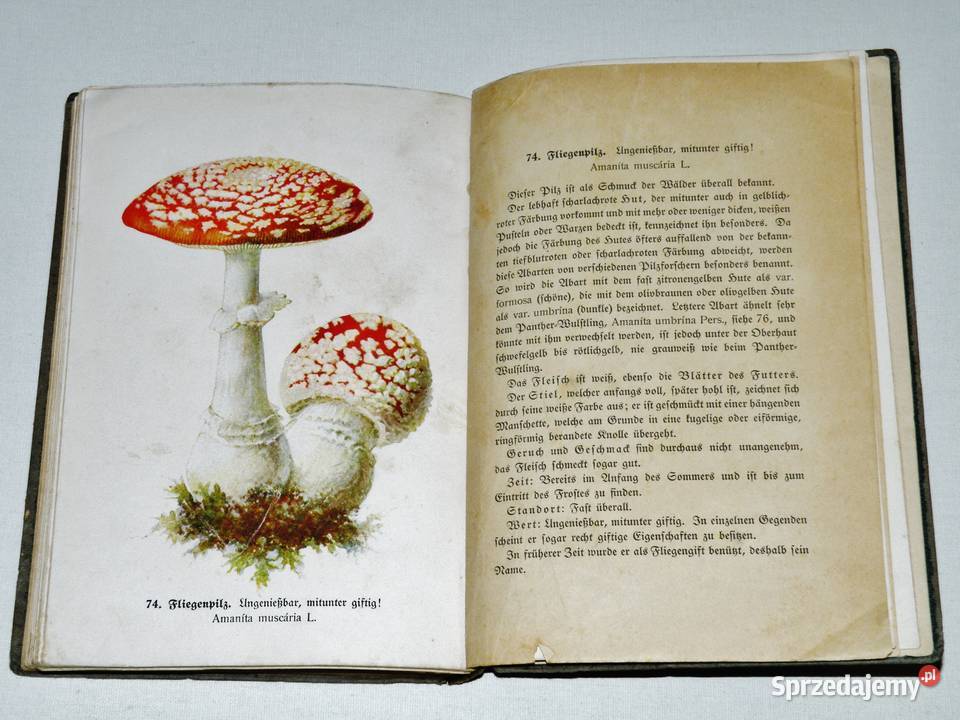 Fhrer fr Pilzfreunde E Michael Tom 1 Wyd B Bydgoszcz