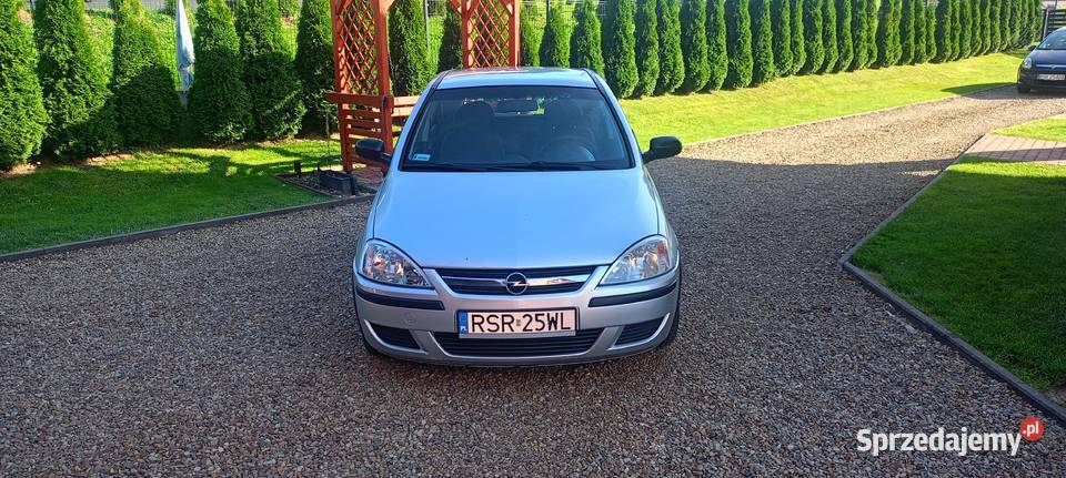 Corsa c 10 b g Corsa Grodzisko