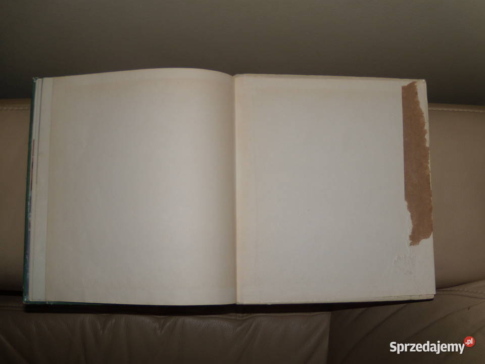 Pims którego nie ma Joanna Papuzińska Rok wydania 1975 Warszawa