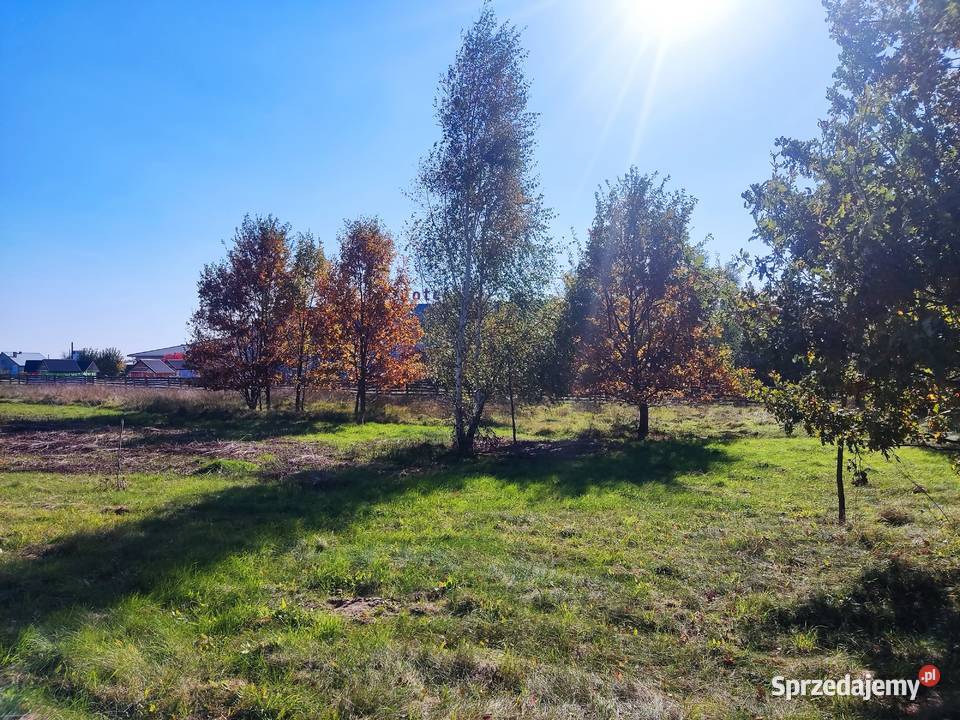 Działki budowlane 8001330m2 Grębiszew koło Mińsk Sprzedaż