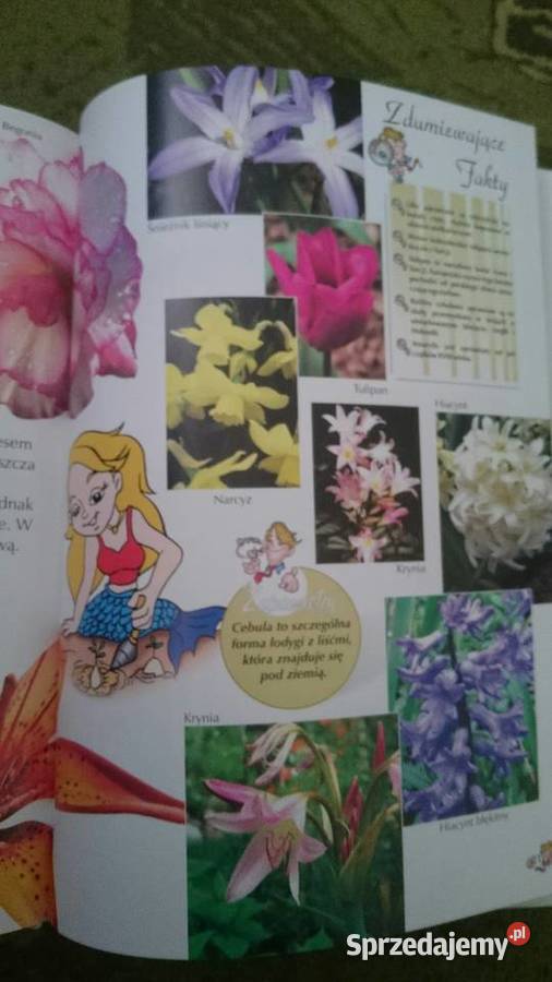 Encyklopedia dzieci Zadziwiający świat faktów sprzedam