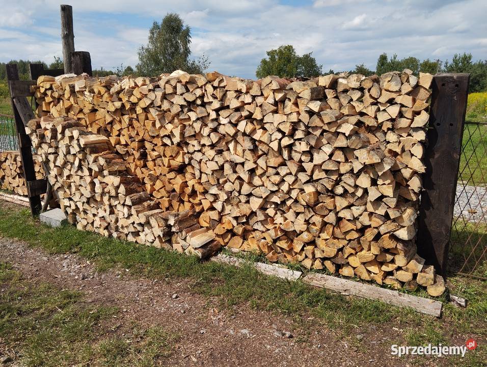Drewno kominkowe opałowe 692805945 śląskie Dąbrowa Górnicza