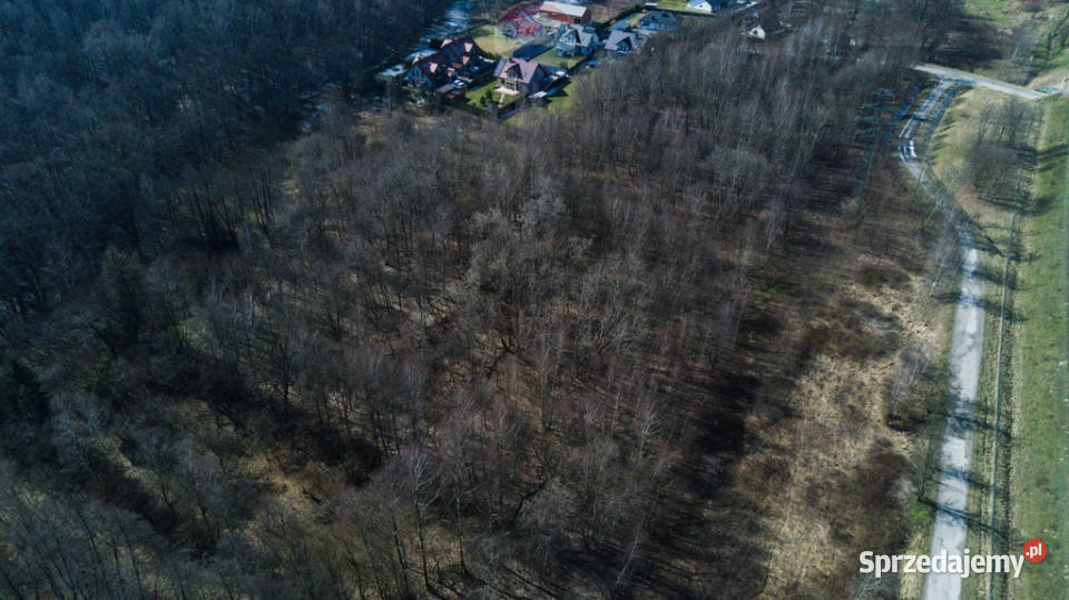 DZIAŁKA W KRAKOWIE PROMOCJA BLACK WEEKS Kraków