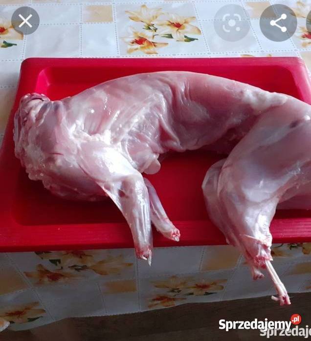 Tusze z królika 35 sprzedam