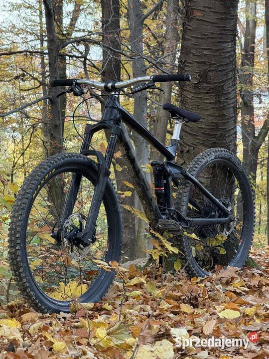 Rower Trek remedi 8 Bochnia