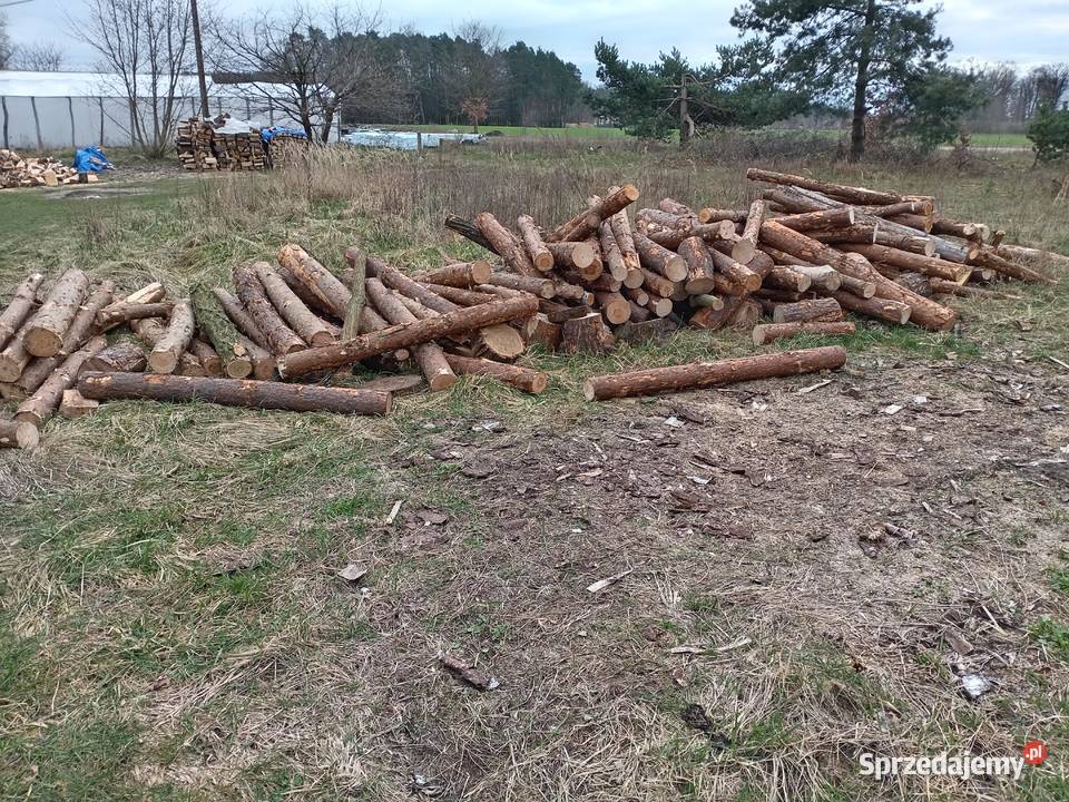 Drewno kominkowe i opałowe dowóz myślibórz Gorzów Wielkopolski