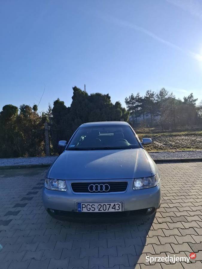 Audi A3 8L 19TDI Audi Koźmin Wielkopolski