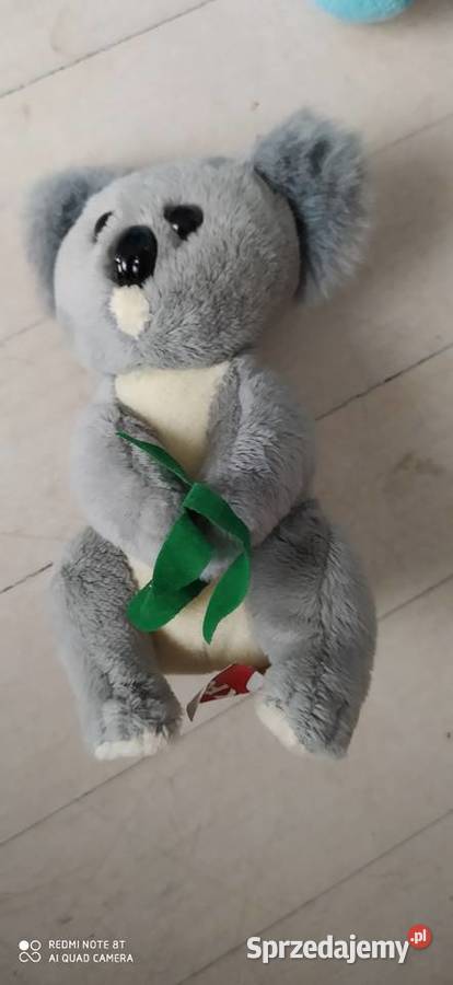koala zabawka pluszowa pluszak maskotka Poznań