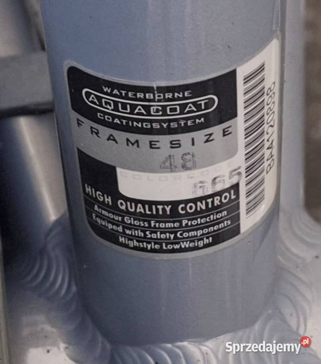 Rower Holenderski Batavus Mambo r48 możliwość