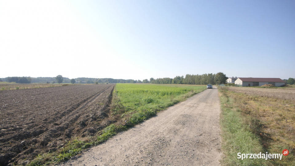 Działka rolno budowlana 96a Rudka Gołębska