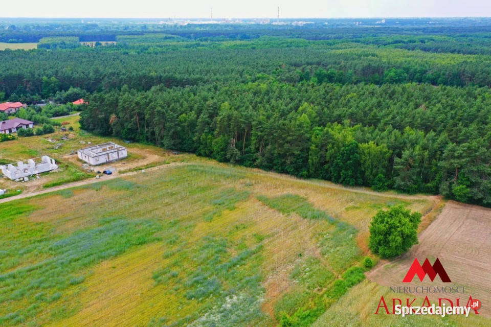 sprzedaży działki Nowy Witoszyn 3637m2