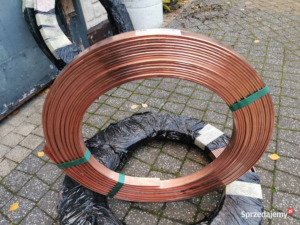 Bednarka pomiedziowana Celestynów