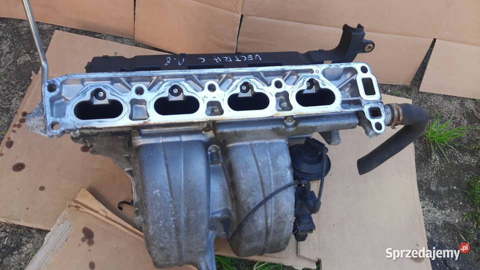 kolektor ssący opel vectra c zafira a 18 16V osobowe Dębno