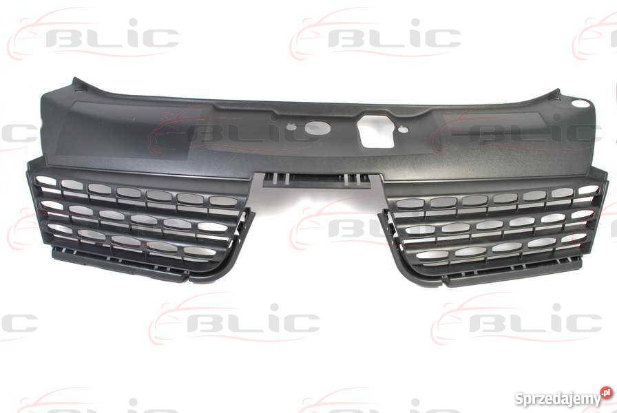 ATRAPA RENAULT CLIO II FL 05010805