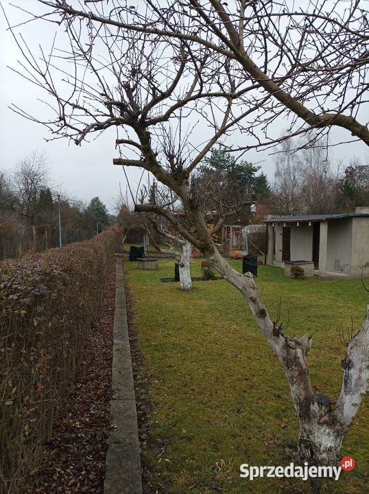 Działka rekreacyjna 1go Maja w Gliwicach Nieruchomości śląskie Knurów