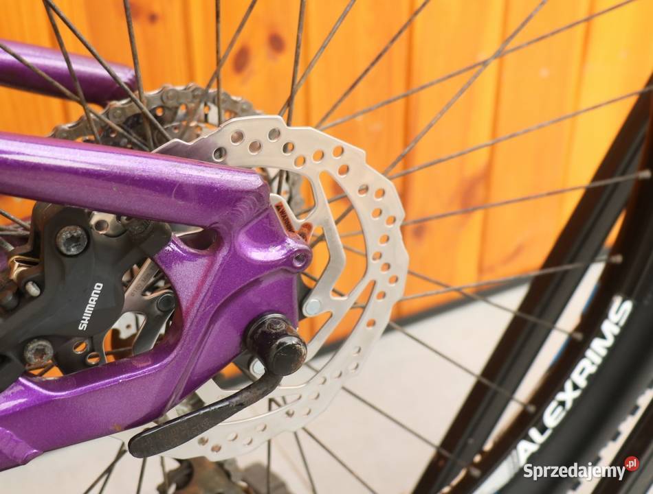 Rower młodzieżowy Bixs Mariposa H 34 Milanówek