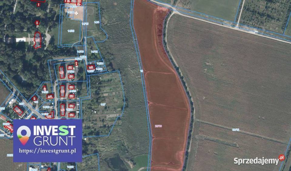 7000 ha grunty rolne przetarg na dzierżawę 700000m2 Wróblewo