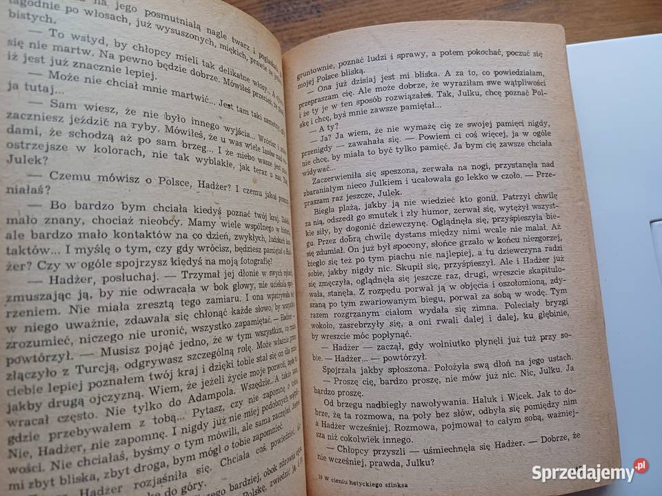 W cieniu hetyckiego sfinksa Eugeniusz Paukszta