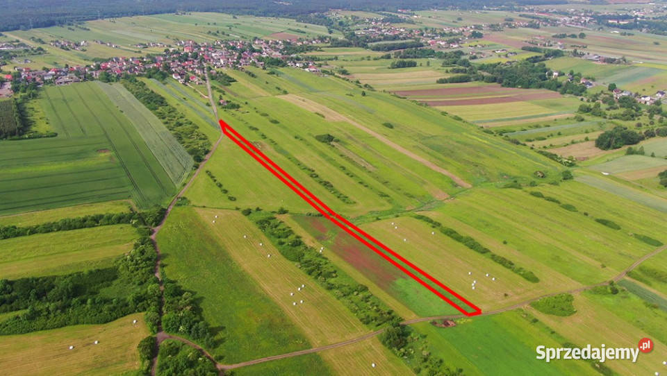 Działka rolna PorębaNiwki 4806m2