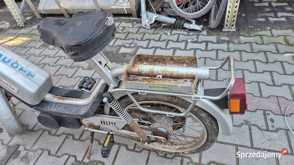 Jawa babetta Hryniewicze