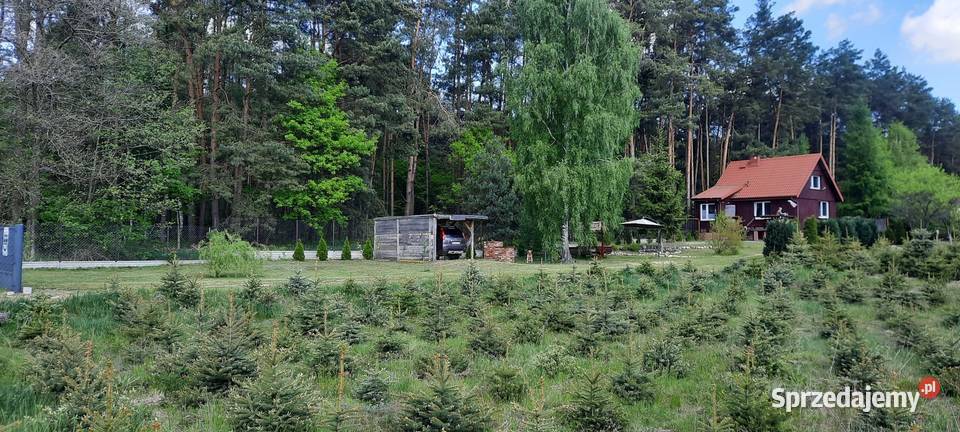 Wynajmę domek w Jabłonowcu5 Farma Iluzji4 Jabłonowiec