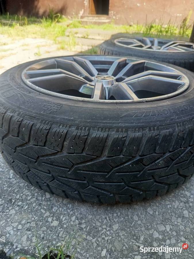 Feli z oponami Knurów
