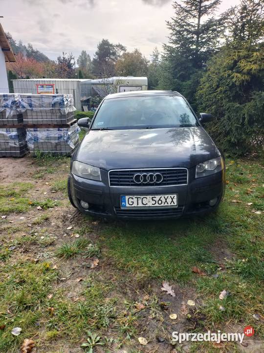 audi a3 Sztum