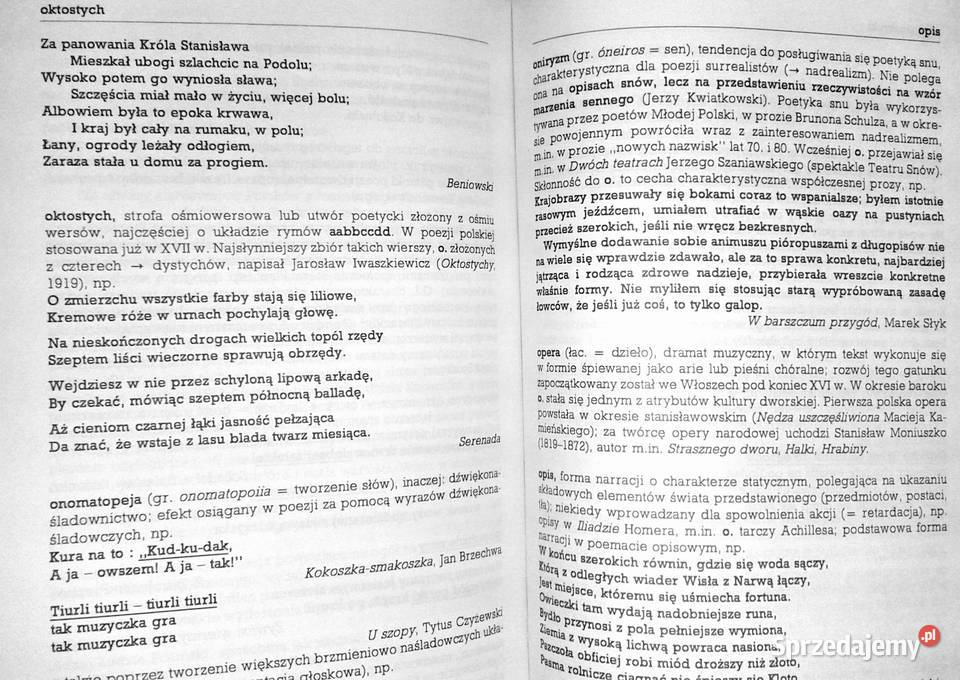 Szkolny słownik terminów literackich Tomasz Chełm