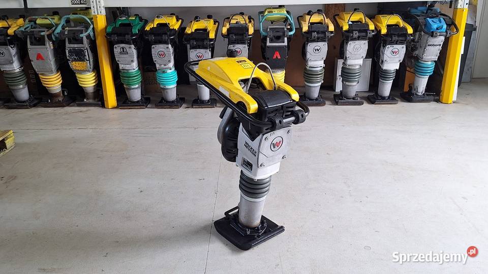 Skoczek Stopa WACKER NEUSON BS 502 11in 2023r Trzebnica sprzedam