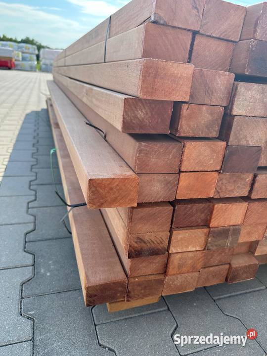 legar konstrukcyjny paraju egzotyczny na taras