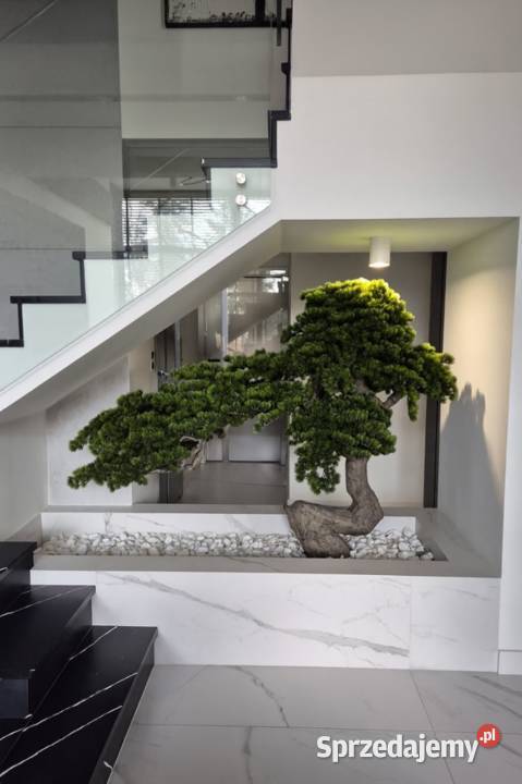 Sztuczne drzewko Bonsai Premium 150x85x190 Golkowice
