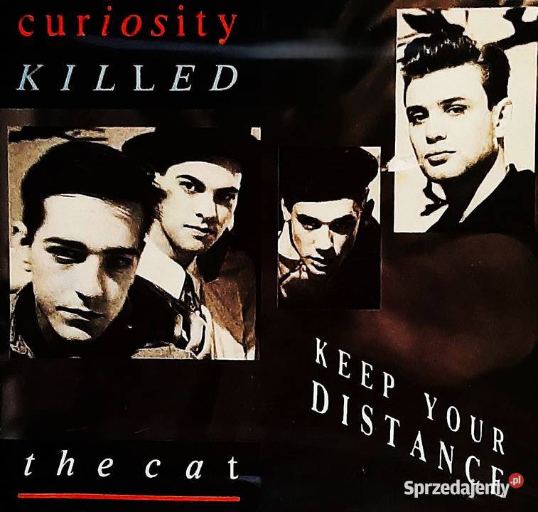 Album CD CURIOSITY KILLED THE CAT Album Keep pomorskie Gdynia
