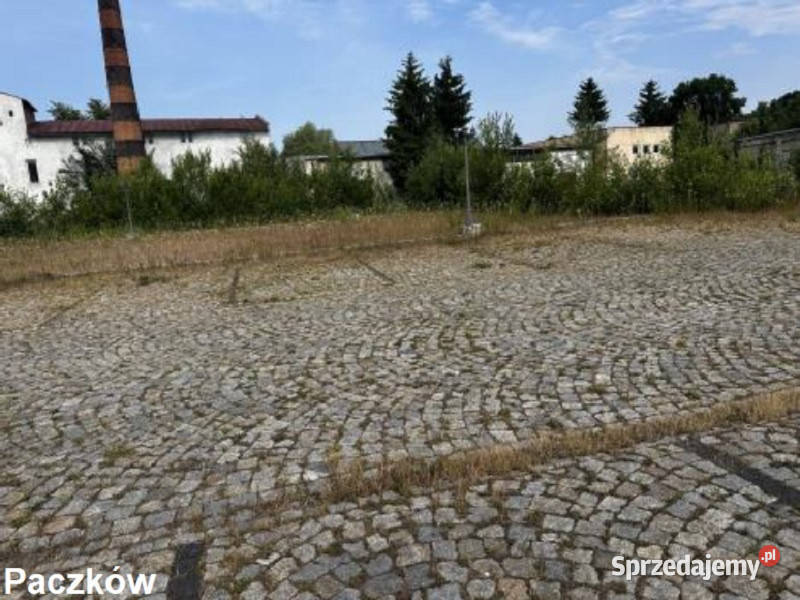Syndyk sprzeda nieruchomości w Paczkowie i Paczków
