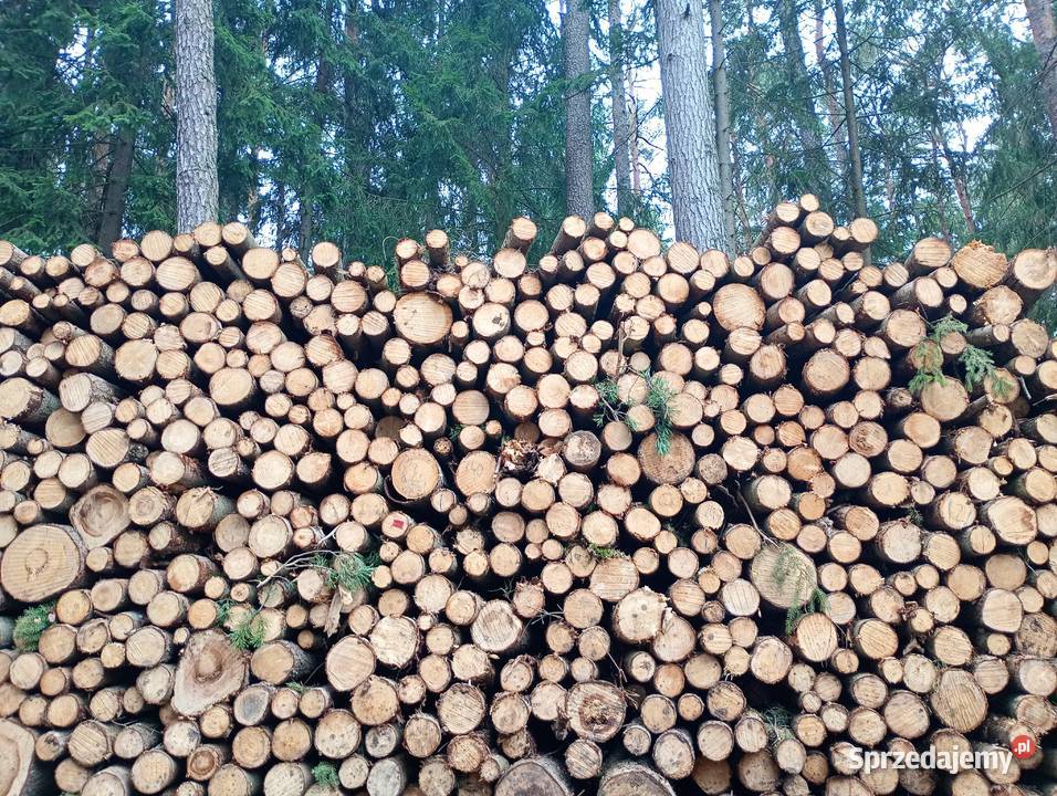 Słupki ogrodzenie żerdzie