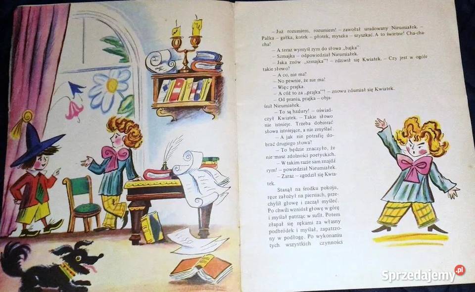 Przygody Nieumiałka Nieumiałek pisał wiersze miękka Chełm