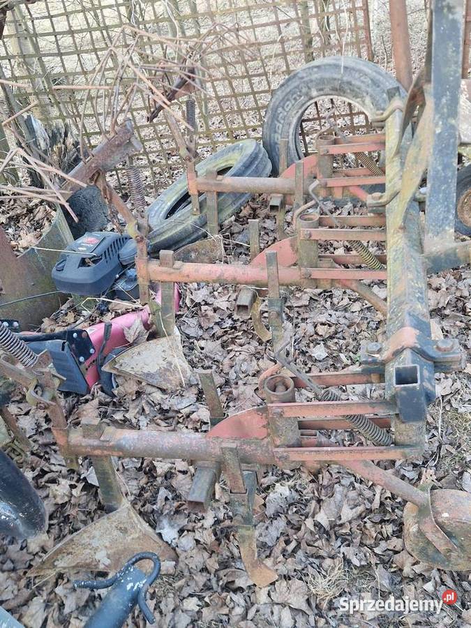 Sprzedam piernik do ziemniaków Pozostałe Iżyce