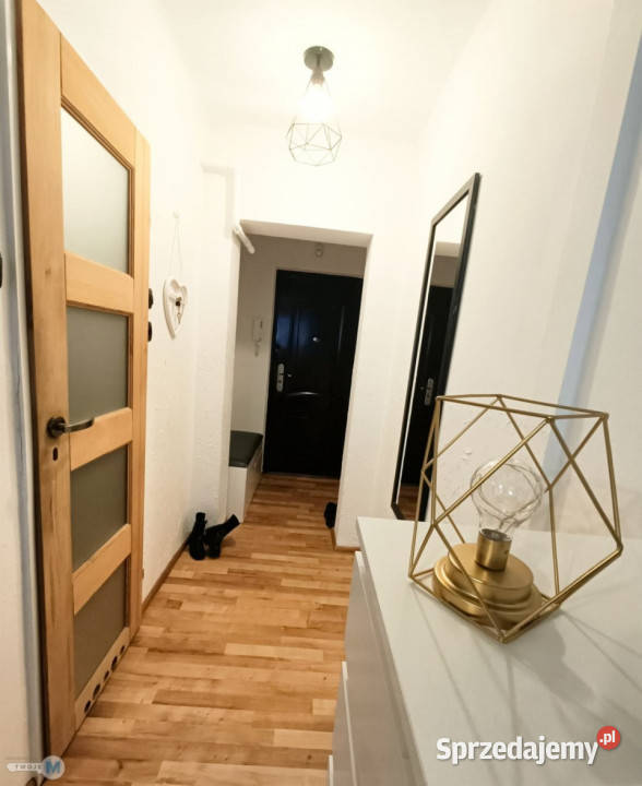 Mieszkanie 288m2 1pokojowe Kielce