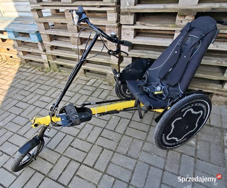 Rower rowerek rehabilitacyjny młodzieży dolnośląskie