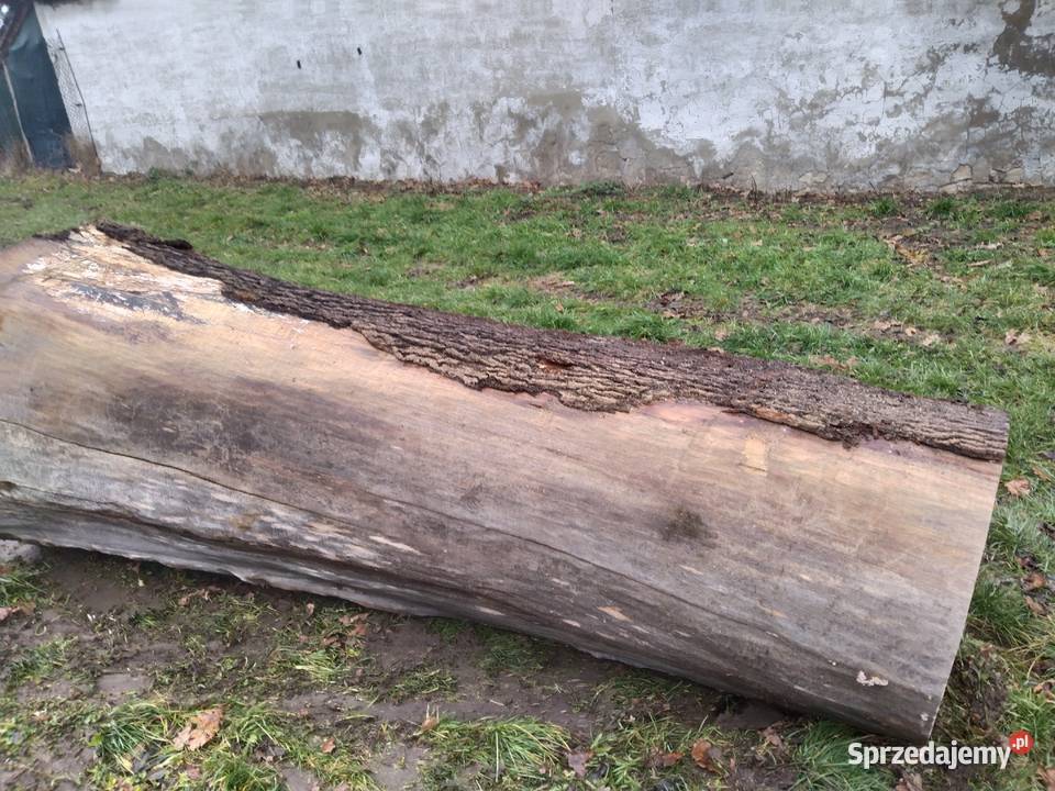 Sprzedam drzewo Jesion Dzwola