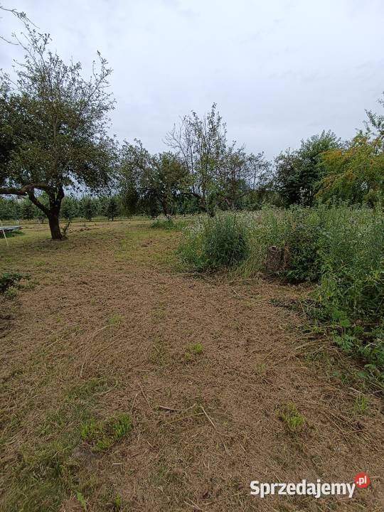 Kosiarka mulczer karczownika Toro silnik Sandomierz