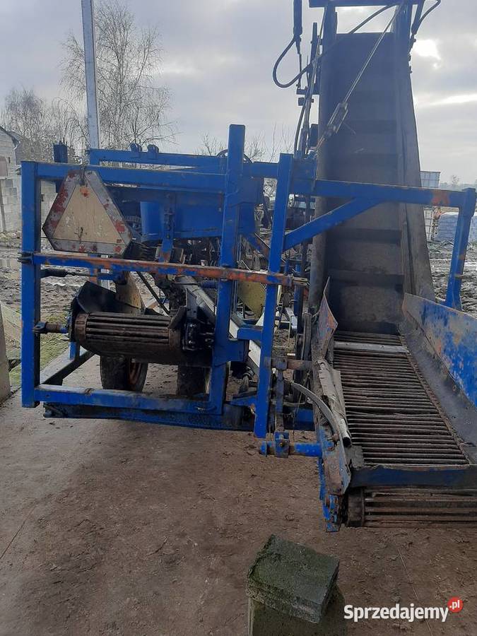 Kombajn do marchwi pietruszki em11 wielkopolskie Słupca