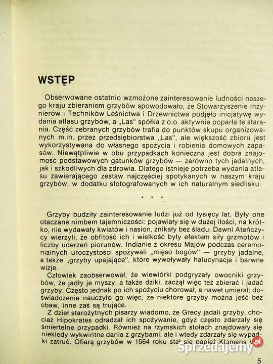 Nasze grzyby pierwsze wydanie książki Bródno Antykwariat Warszawa