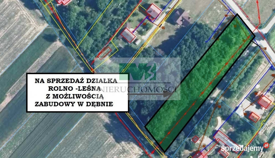 DO SPRZEDAŻY DZIAŁKA W DĘBNIE Dębno