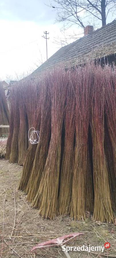 Sprzedam wiklinę sortowaną 152m Pozostałe