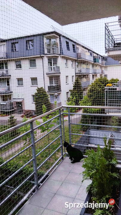 Montowanie siatki na balkon kota Warszawa siatki mazowieckie