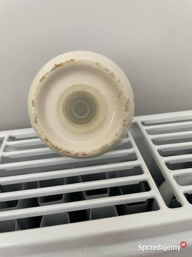 Włocławek stara fajansowa solniczka Porcelana i szkło Pruszcz Gdański