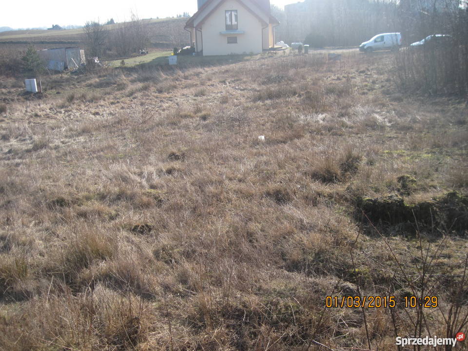 SPRZEDAM DZIAŁKĘ ZAŁĘŻE KPRZODKOWA pomorskie Przodkowo sprzedam