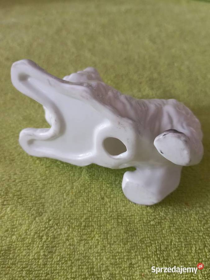 Figurka porcelanowa piesek Westie kujawsko-pomorskie Toruń
