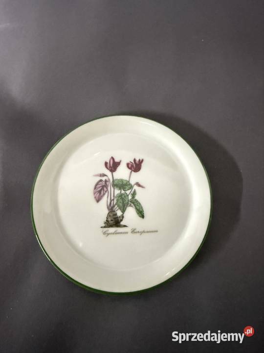 Talerzyki botaniczne